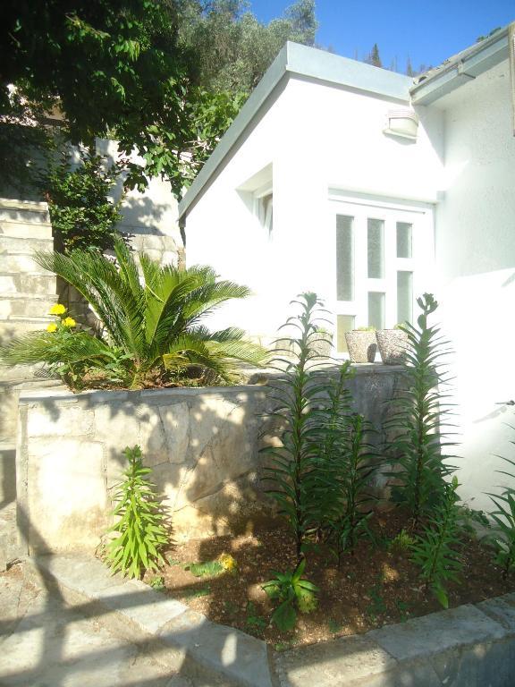 Apartments Villa Petranovic Budva Cameră foto