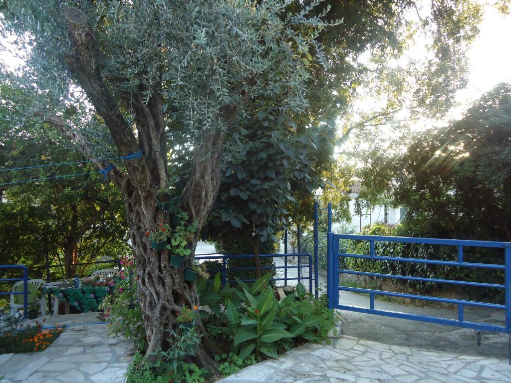 Apartments Villa Petranovic Budva Exterior foto